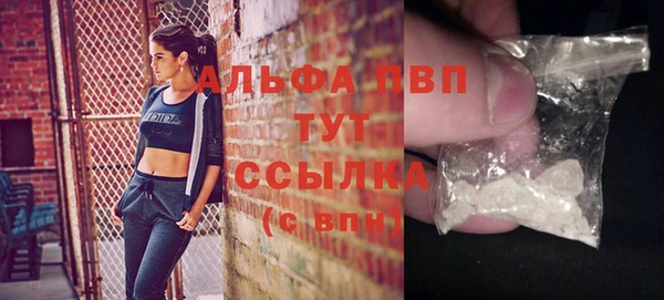 spice Абаза