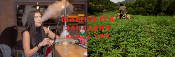 мет Алексин