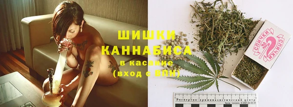 spice Абаза