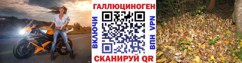 Псилоцибиновые грибы Psilocybe  как найти наркотики  Уссурийск 